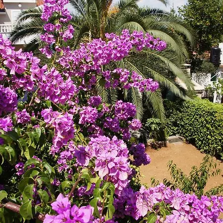 Franda Апартаменты Трогир