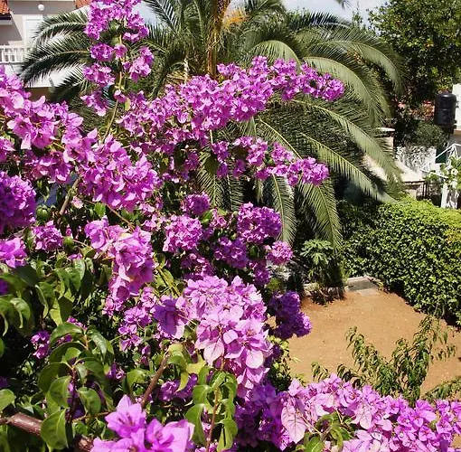 Franda Apartamento Trogir